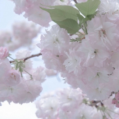 兽设四季场景绘制Furry群